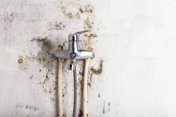 Best Office Mold Removal Services  in Gold Hill, OR