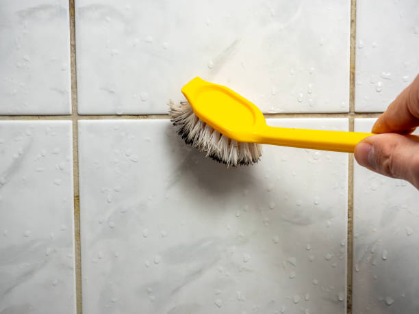 Best Black Mold Removal  in Gold Hill, OR