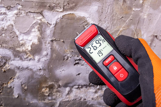 Reliable Gold Hill, OR Mold Removal Solutions