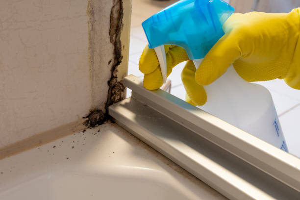 Best Mold Cleaning Services  in Gold Hill, OR