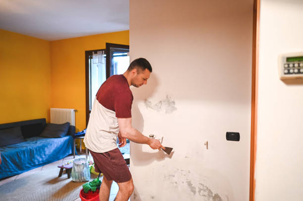 Best Certified Mold Removal  in Gold Hill, OR